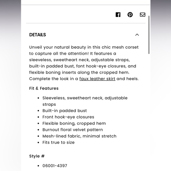 Sheer bustier NWT - Picture 15 of 15